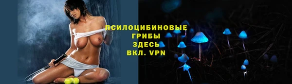 мяу мяу мука Новозыбков