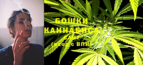 индика Нефтекумск