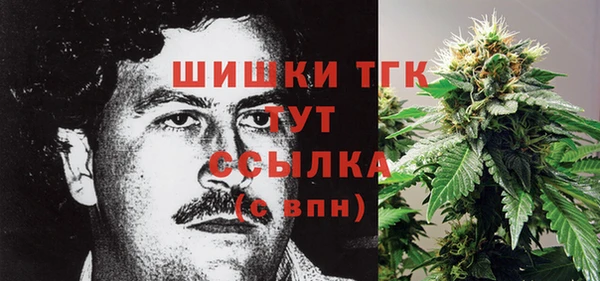 мяу мяу мука Новозыбков