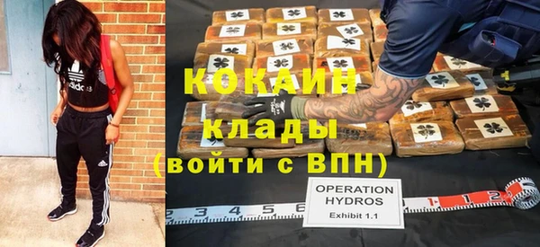 мяу мяу мука Новозыбков