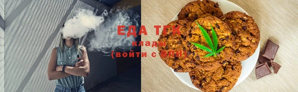 индика Нефтекумск