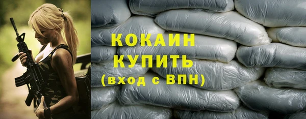 индика Нефтекумск