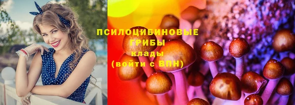 мяу мяу мука Новозыбков