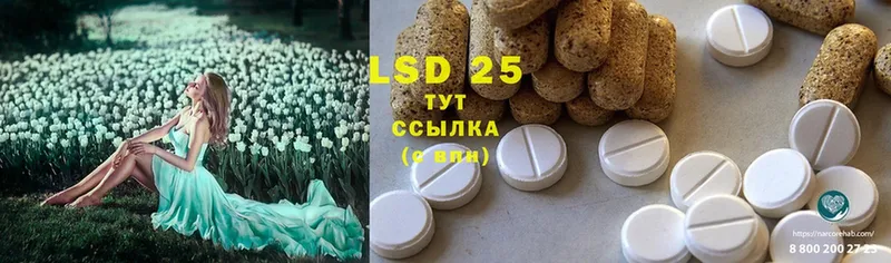 LSD-25 экстази ecstasy  Николаевск 