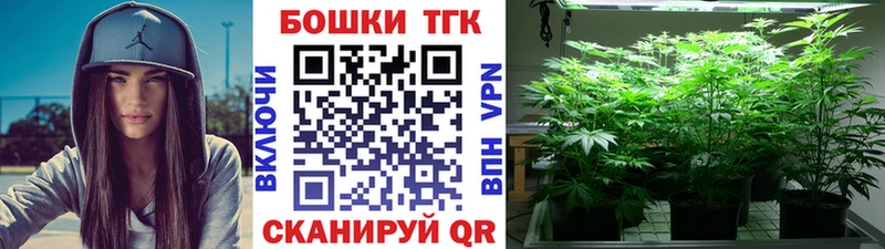 наркотики  Николаевск  Бошки марихуана SATIVA & INDICA 